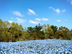 るるパーク(大分農業文化公園)