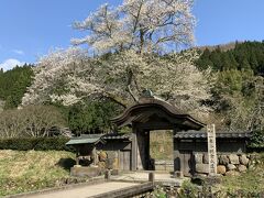 永平寺のあとは一乗谷朝倉氏遺跡へやってきました！
この入口の門は有名ですね。