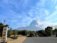 島に上陸して溶岩焼のお店に行きました。
ここは猫がたくさんいるのよねー

…あれ、全然いない！
一匹もいない～