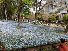 日比谷公園 第二花壇