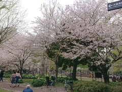 日比谷公園 草地広場