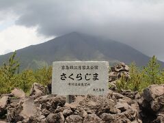 桜島に渡ると流れる雲に隠れる寸前、山頂が見えた