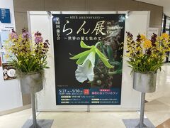 世界のらん展がやっていたので、見てきました、
この時期のイベント開催はたいへんそうです。