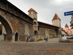 タリン市博物館から西に6分程歩いて、西側の城壁部分に来ました。現地のマップではタウンウォールと呼ばれている所です。城壁の通路に上がれます。