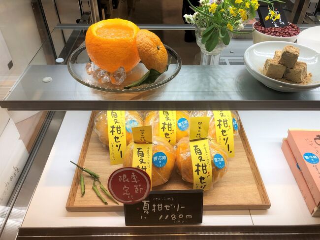 新エリアが誕生 御殿場アウトレット サマーセールで80 オフ ミナカ小田原 箱根フリーパス 小田急ロマンスカーgse 形 の展望席 小田原 神奈川県 の旅行記 ブログ By リンリンベルベルさん フォートラベル