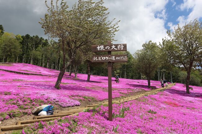 21 5 芝桜公園と香りの里ハーブガーデン その 芝桜物語 滝ノ上町 紋別 北海道 の旅行記 ブログ By Takaさん フォートラベル