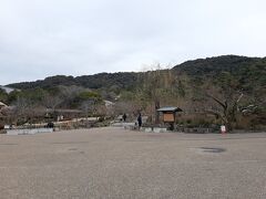 ほとりから八坂神社を超えて、円山公園へ。