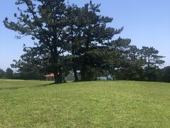 お天気いいから芝生の上て寝転がってみたい(^_^;)

保育園か幼稚園児が遠足に来てて、楽しそうに走り回ってる(^_^)