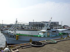 まずは昨日上陸した郷ノ浦港へ。
フェリーターミナルのすぐ横には漁船がいっぱい係留されていて、普通の漁港です。
