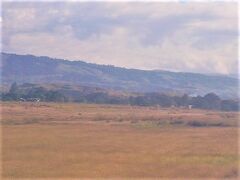 ガダルカナルの飛行場の南側にある血染めの丘です。

日米両軍の将兵が、この丘の争奪を巡り、激戦を続けました。

米軍は、この丘をBlooody　Ridgeと呼んでいます。
慰霊祭等が挙行されているようです。