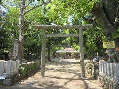 熊野三所大神社・鳥居　補陀落山寺の隣接する神社です。