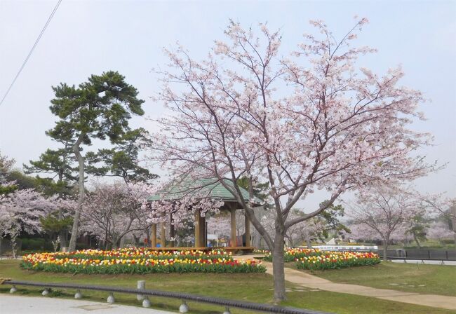 21年3月 山口県 宇部市 ときわ公園に桜を見に行きました 彫刻に彩を添えています 宇部 小野田 山口県 の旅行記 ブログ By イロコさん フォートラベル