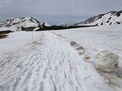 しばらく歩くと途中の道はまだ残雪が残っていました。