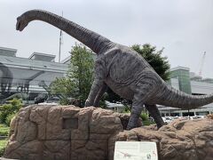 大きな恐竜がいます