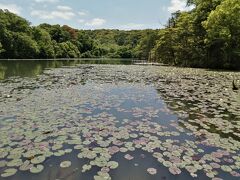 おお～。これが小呂池ですか。美しいです。
半世紀以上岡崎に暮らしていて初めて来ました。
