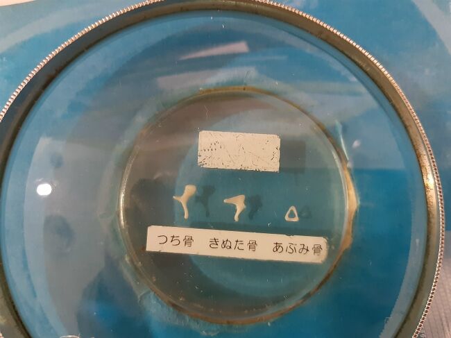 一番驚いたのはこの耳小骨。<br />左からツチ骨、キヌタ骨、アブミ骨。<br />ツチ骨は鼓膜と繋がっていて、鼓膜の振動をキヌタ骨へ繋げます。てこの原理でキヌタ骨でその振動を拡大。更に楽器のトライアングルみたいなアブミ骨へ伝えます。このアブミ骨で鼓膜で受けた音圧を約３０倍に増幅して内耳へ伝えるのだそうです。<br />余程優秀な設計者がこの構造を考えたのかと思うほど、本当に神秘的です。