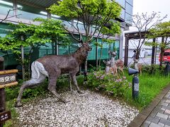 1時間半くらいで釧路空港到着。
久しぶりのローカル空港。
いい感じです