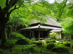 紅葉が見頃の時期の美しさにもため息が出ますが、緑に囲まれたこの景色を独り占めできる贅沢にも幸せを感じます!