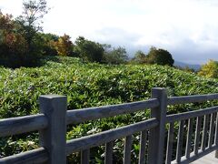 高架木道は開園期間中は自由に散策できます。

高架木道で見ることができるのは一湖だけですが、片道８００メートルあるので、

往復するとけっこうな距離・時間がかかりました。

