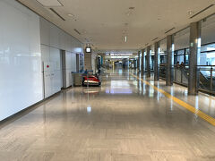 で。。いつもの第一ターミナル。。

う～ん。。居ません。。
