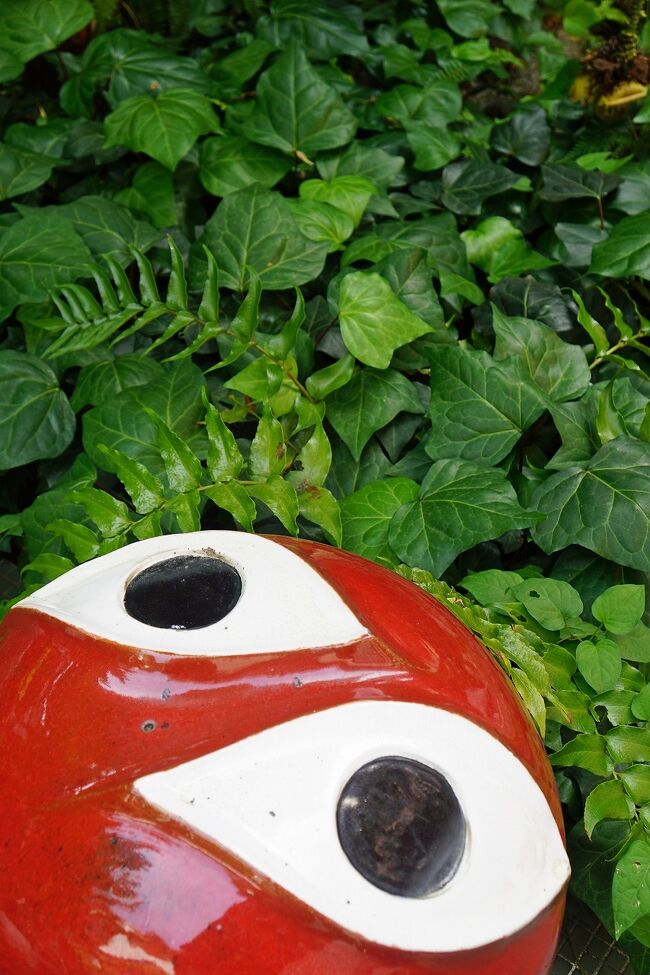 岡本太郎美術館の翌週は南青山の岡本太郎記念館の庭で 森の掟 を体感する 青山 東京 の旅行記 ブログ By Kojikojiさん フォートラベル 岡本太郎美術館の翌週は南青山の岡本太郎記念館の庭で 森の掟 を体感する 青山 東京 の旅行記 ブログ By Kojikojiさん フォートラベル