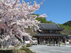 恐山を訪問。5月1日のこの日が開山日。入山料は500円。
本数はほとんどないが、桜が満開。