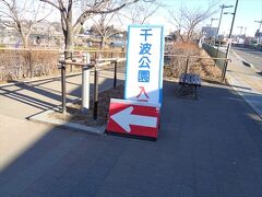 ホテルに一泊した後，朝千波公園を散歩してみました．