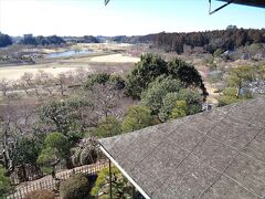 ここから千波公園が一望出来ます．絶景です．偕楽園に来たら，是非一度上って欲しいですね．