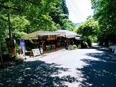 駐車場から坂を上ると、ちょこっとお店が出てきます。
猿座（えんざ）カフェといって、最近インスタで流行っているようです。
ソフトクリームなどもあるようです。