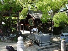 パンフレットに載っていた石手寺にバスで向かいます。