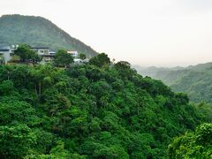 結構山深い所に見えますが、関子嶺は標高300m～400mくらいの所。
近隣には1000m超えの山もあるのですが、見た目ほどの山奥ではないんです。
でも緑濃い地域、空気はうまい。いや、あの鶏の香りが漂う、ガチ目のうまいです。