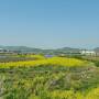 静かな静かな福知山