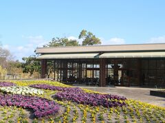 EXPO'70パビリオンで大阪万博に思いを馳せたら腹が減ったのでご飯にしましょう。
公園内にあるカフェ「パークカフェ」へ。