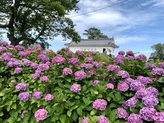 お城の銅門を背景に。。。

あの銅門は現在特別拝観中のようですが、
結構見学の方が上がって行くのが見えて。。スルーしました(^^;

