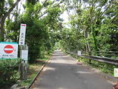 「大房岬自然公園」