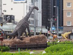 福井は｢恐竜王国｣のようです。県下で恐竜の化石がたくさん発掘されたとのコトで、駅前には実物大の恐竜のモニュメントもあります。。