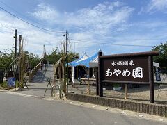 潮来駅から歩いてすぐ、あやめ園へ。
あやめまつり開催中。