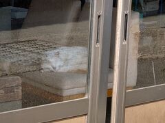 萩市　
大好き雲林寺さんへ。

猫さんはお寺の猫さん又はご近所猫さんに運が良ければ会えます。