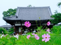 般若寺