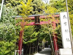 翌日は観光です。

来宮駅から徒歩5分、来宮神社へ。

