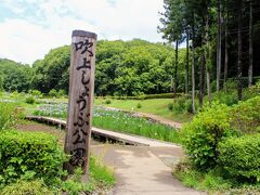 吹上しょうぶ公園に到着です。