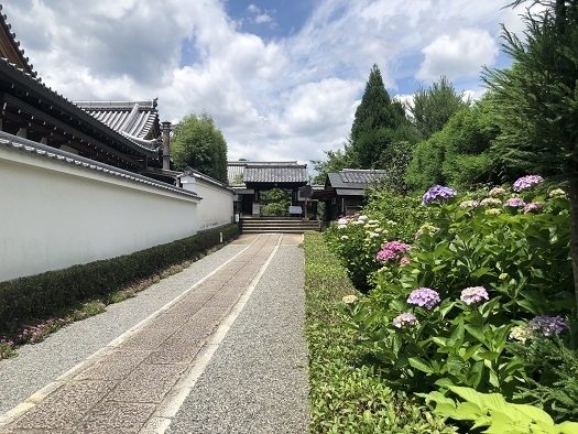 東林院 沙羅の花を愛でる会 嵐山 嵯峨野 太秦 桂 京都 の旅行記 ブログ By Olive26さん フォートラベル