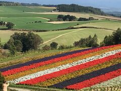 四季彩の丘。この季節でも、色とりどりのきれいなお花畑。ひろーい北海道ならではの景色ですね。