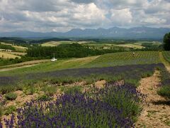 そして、辿り着いた深山峠の辺りからも伸びやかな景色が望めた。
展望台の近くに、『上ふらのびいる館』があり、併設された食事処で、ハンガリーの伝統的な製法で作られた地麦酒が楽しめるそうだが、バイクだったので見学のみで我慢した。
今回、ここが一番混んでいて、しかも暑かった。