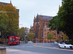 右側の建物は、シドニー・セント・メアリー大聖堂
(St Mary's Cathedral)