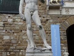 シニョリーア広場
Piazza della Signoria

ヴェッキオ宮殿の正面にたつダビデ像。もちろん、レプリカ。


