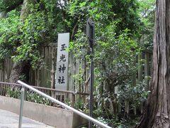 【玉光神社】

神社があるらしいので　階段を上って行ってみました