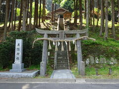 さて、猿岩を後にして次は月読神社に来ました。
こちらは全国にある月読神社の元宮で、『日本神道発祥の地』と言われています。
毎年旧暦の9月23日に開催される例大祭では壱岐神楽が奉納されます。
鬱蒼と茂った木々に覆われた中にひっそりと佇んでいて神秘的ですね。
何かすごいパワーを感じます。