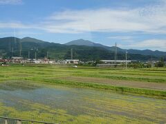 夏至は晴れました。