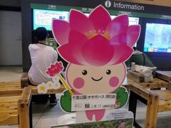 千葉駅に到着。
本日の目的はpicotabiさんの行ったレトロ喫茶とさや堂ホール、それに見ごろと言われている千葉公園の大賀ハスです。
この子はえきにいるシンボルキャラクターのちはなちゃん。
大賀ハスの開花状況を伝えているようですが、それ一昨日だよ・・・さぼったな！